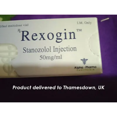 High-Quality Rexogin (vial) in the USA — photo 5