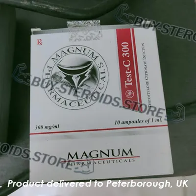 High-Quality Magnum Test-C 300 in the USA — photo 1