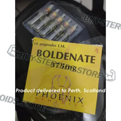 High-Quality Boldenate 375mg/ml in the USA — photo 4