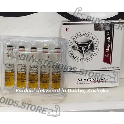 High Quality Magnum Mag-Jack 250 in USA — photo 4