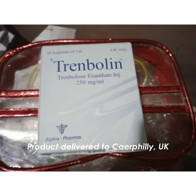 High-Quality Trenbolin (ampoules) in the USA — photo 5