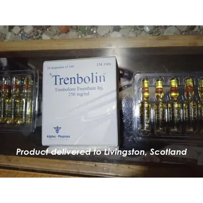 High-Quality Trenbolin (ampoules) in the USA — photo 7