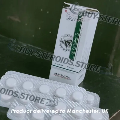 High-Quality Magnum Turinabol 10mg in the USA — photo 1