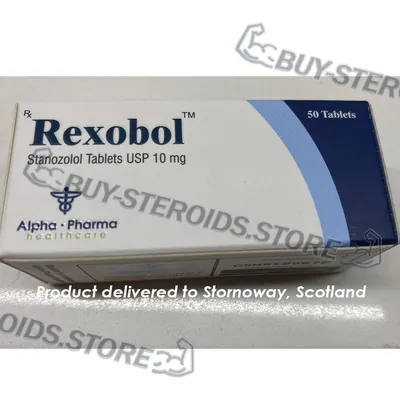 High-Quality Rexobol-10 in the USA — photo 2